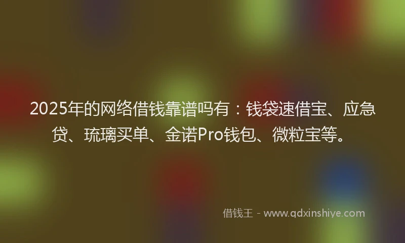 2025年的网络借钱靠谱吗有：钱袋速借宝、应急贷、琉璃买单、金诺Pro钱包、微粒宝等。