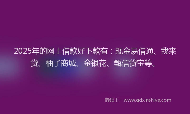 2025年的网上借款好下款有：现金易借通、我来贷、柚子商城、金银花、甄信贷宝等。