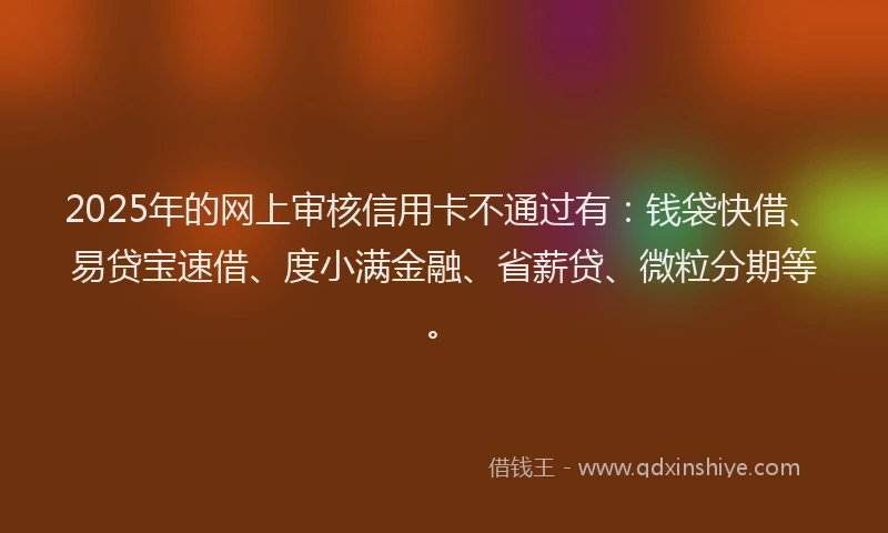 2025年的网上审核信用卡不通过有：钱袋快借、易贷宝速借、度小满金融、省薪贷、微粒分期等。