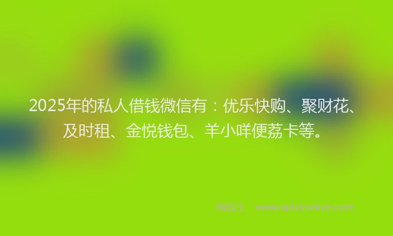 2025年的私人借钱微信有：优乐快购、聚财花、及时租、金悦钱包、羊小咩便荔卡等。