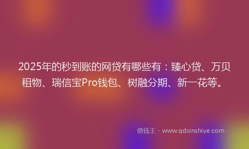 2025年的秒到账的网贷有哪些有：臻心贷、万贝租物、瑞信宝Pro钱包、树融分期、新一花等。