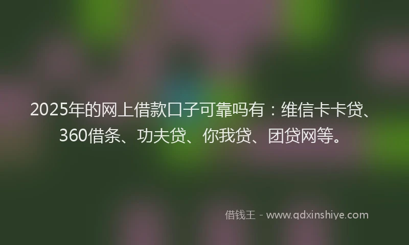 2025年的网上借款口子可靠吗有：维信卡卡贷、360借条、功夫贷、你我贷、团贷网等。