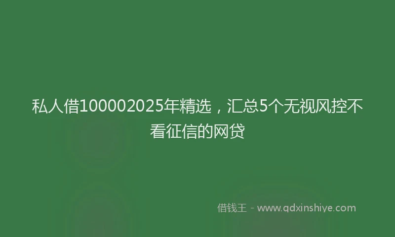 私人借100002025年精选，汇总5个无视风控不看征信的网贷