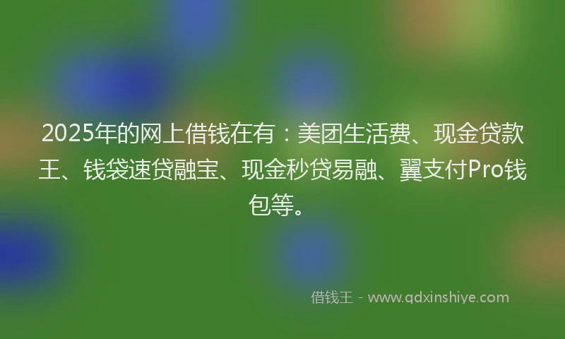 2025年的网上借钱在有：美团生活费、现金贷款王、钱袋速贷融宝、现金秒贷易融、翼支付Pro钱包等。
