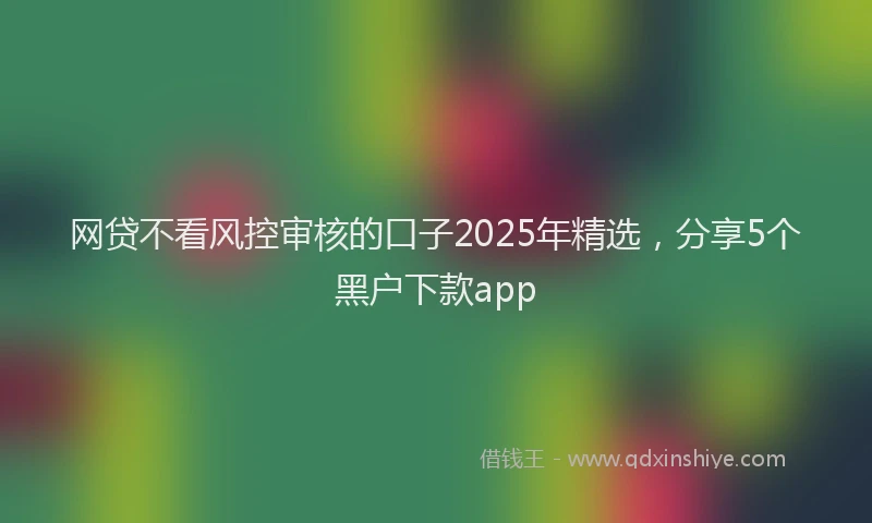 网贷不看风控审核的口子2025年精选，分享5个黑户下款app