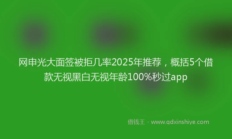 网申光大面签被拒几率2025年推荐，概括5个借款无视黑白无视年龄100%秒过app