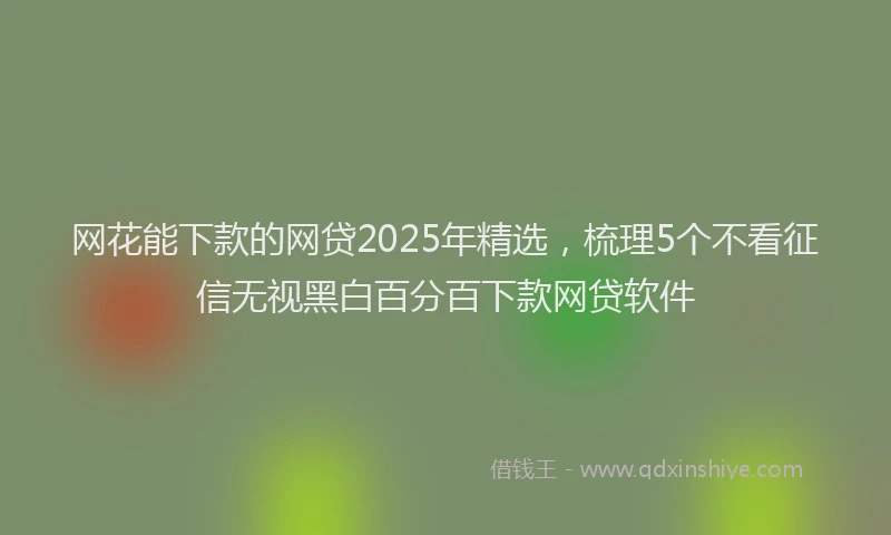 网花能下款的网贷2025年精选，梳理5个不看征信无视黑白百分百下款网贷软件