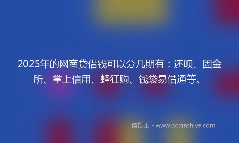 2025年的网商贷借钱可以分几期有：还呗、固金所、掌上信用、蜂狂购、钱袋易借通等。