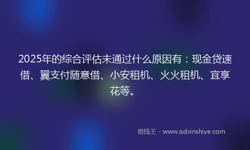 2025年的综合评估未通过什么原因有：现金贷速借、翼支付随意借、小安租机、火火租机、宜享花等。