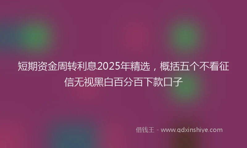 短期资金周转利息2025年精选，概括五个不看征信无视黑白百分百下款口子