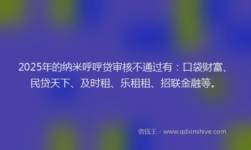 2025年的纳米呼呼贷审核不通过有：口袋财富、民贷天下、及时租、乐租租、招联金融等。