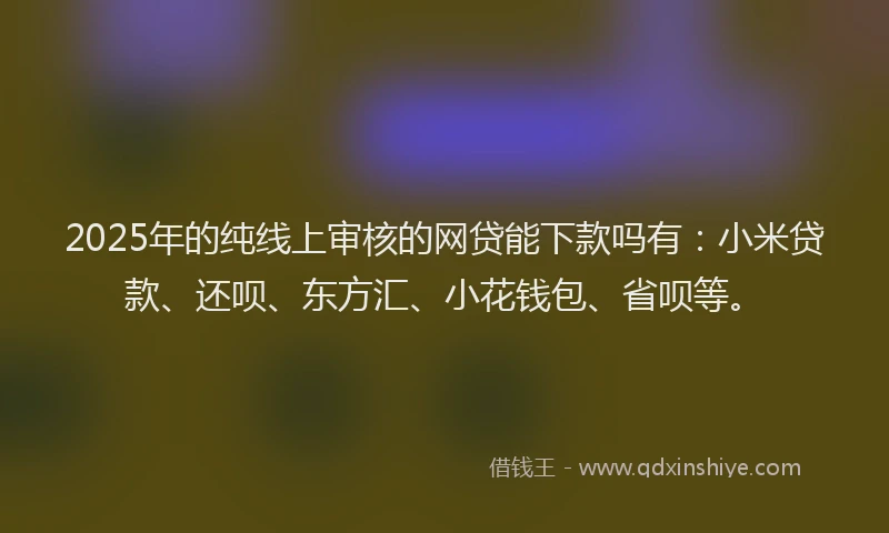 2025年的纯线上审核的网贷能下款吗有：小米贷款、还呗、东方汇、小花钱包、省呗等。