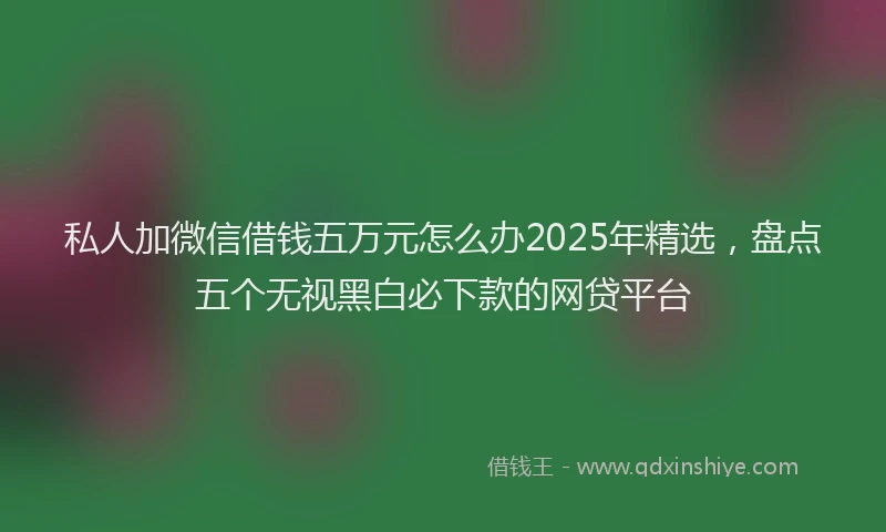 私人加微信借钱五万元怎么办2025年精选，盘点五个无视黑白必下款的网贷平台