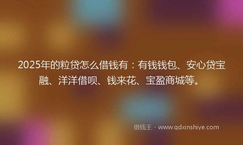2025年的粒贷怎么借钱有：有钱钱包、安心贷宝融、洋洋借呗、钱来花、宝盈商城等。