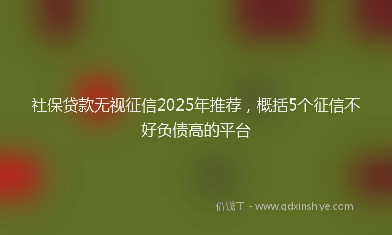 社保贷款无视征信2025年推荐，概括5个征信不好负债高的平台