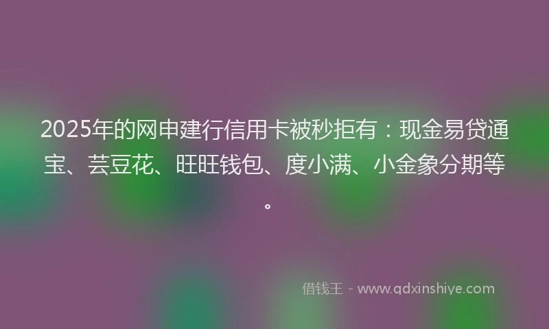 2025年的网申建行信用卡被秒拒有：现金易贷通宝、芸豆花、旺旺钱包、度小满、小金象分期等。