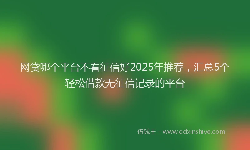 网贷哪个平台不看征信好2025年推荐，汇总5个轻松借款无征信记录的平台