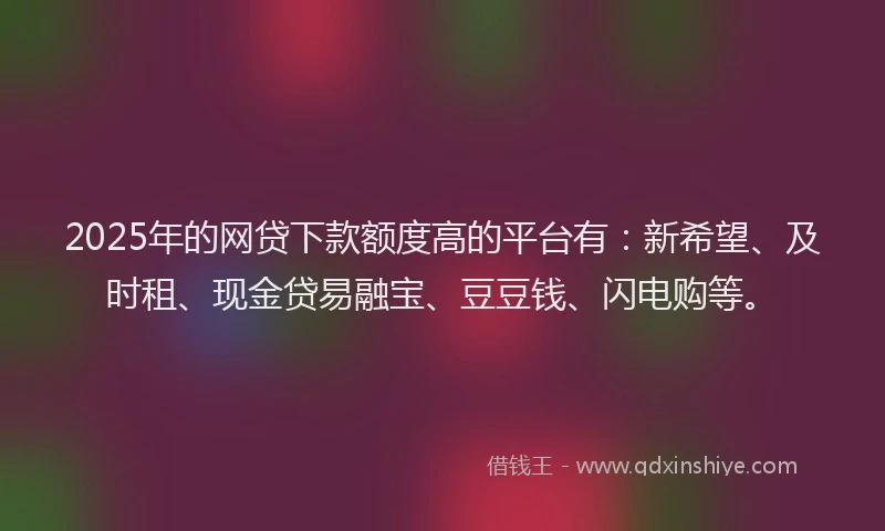 2025年的网贷下款额度高的平台有：新希望、及时租、现金贷易融宝、豆豆钱、闪电购等。