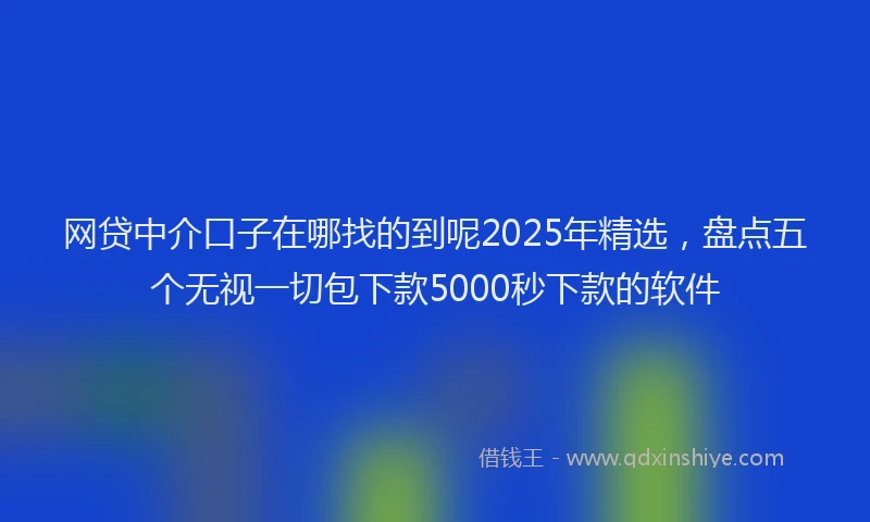 网贷中介口子在哪找的到呢2025年精选，盘点五个无视一切包下款5000秒下款的软件