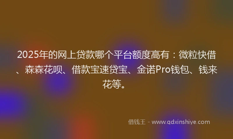 2025年的网上贷款哪个平台额度高有：微粒快借、森森花呗、借款宝速贷宝、金诺Pro钱包、钱来花等。