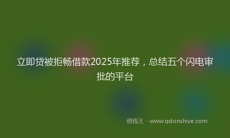 立即贷被拒畅借款2025年推荐，总结五个闪电审批的平台