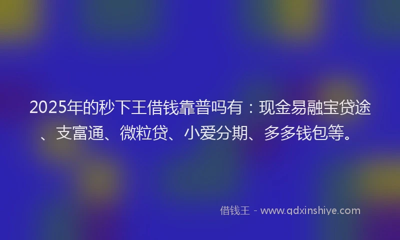 2025年的秒下王借钱靠普吗有：现金易融宝贷途、支富通、微粒贷、小爱分期、多多钱包等。