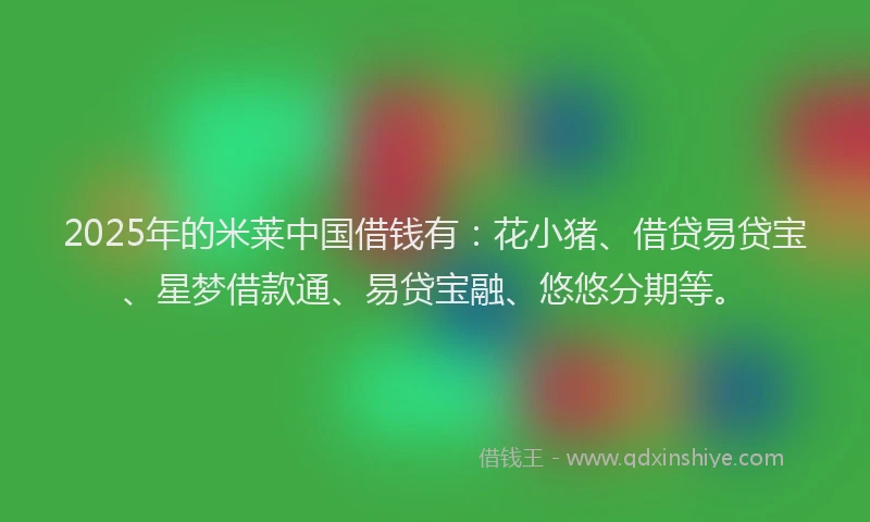 2025年的米莱中国借钱有：花小猪、借贷易贷宝、星梦借款通、易贷宝融、悠悠分期等。