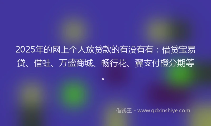 2025年的网上个人放贷款的有没有有：借贷宝易贷、借蛙、万盛商城、畅行花、翼支付橙分期等。