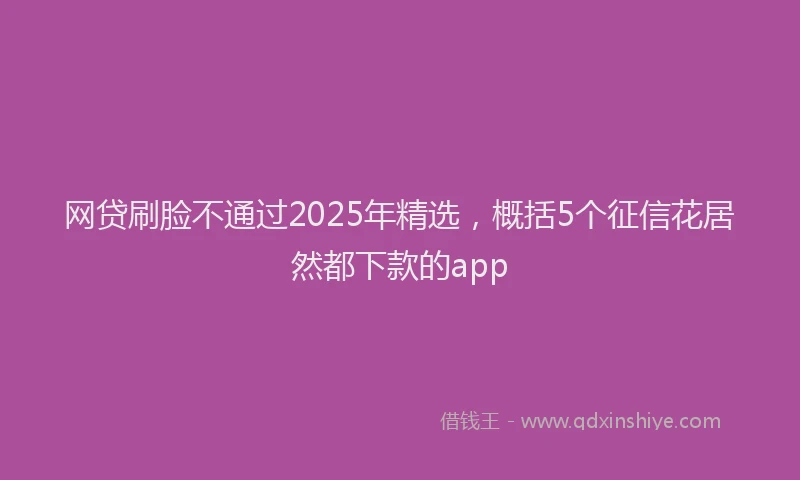 网贷刷脸不通过2025年精选，概括5个征信花居然都下款的app