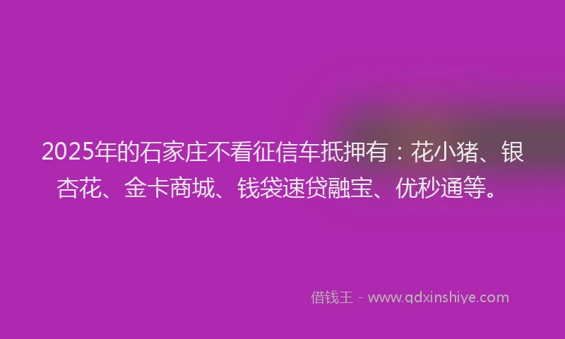 2025年的石家庄不看征信车抵押有：花小猪、银杏花、金卡商城、钱袋速贷融宝、优秒通等。