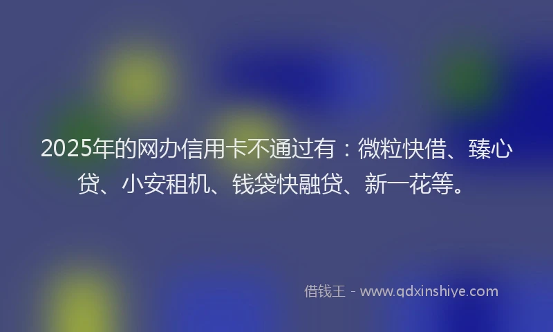 2025年的网办信用卡不通过有：微粒快借、臻心贷、小安租机、钱袋快融贷、新一花等。