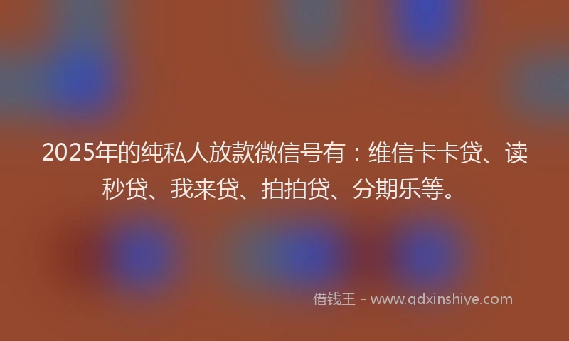2025年的纯私人放款微信号有：维信卡卡贷、读秒贷、我来贷、拍拍贷、分期乐等。
