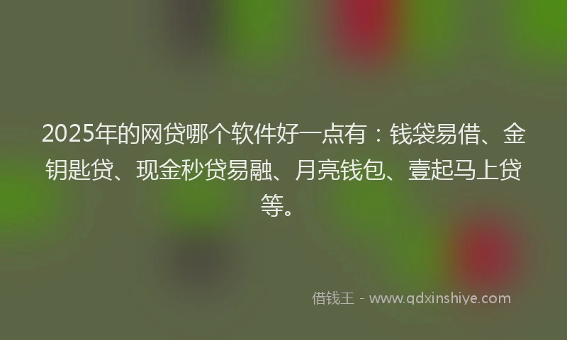 2025年的网贷哪个软件好一点有：钱袋易借、金钥匙贷、现金秒贷易融、月亮钱包、壹起马上贷等。