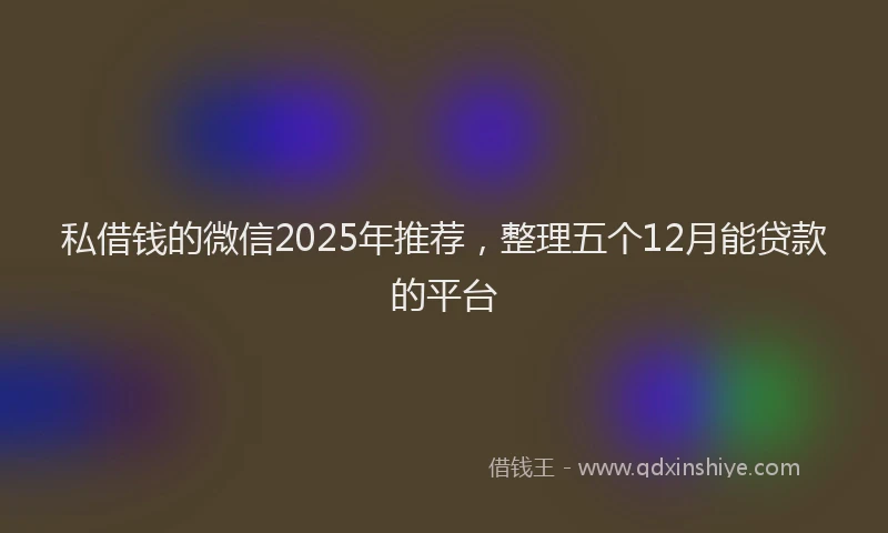 私借钱的微信2025年推荐，整理五个12月能贷款的平台
