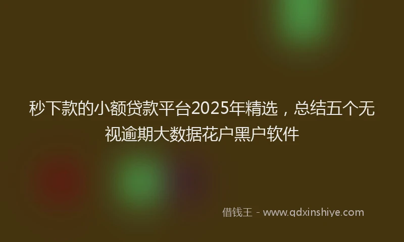 秒下款的小额贷款平台2025年精选，总结五个无视逾期大数据花户黑户软件