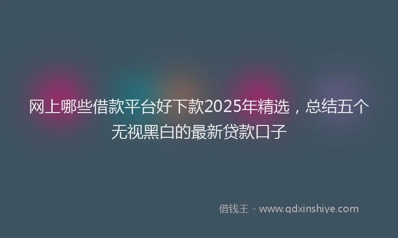 网上哪些借款平台好下款2025年精选，总结五个无视黑白的最新贷款口子