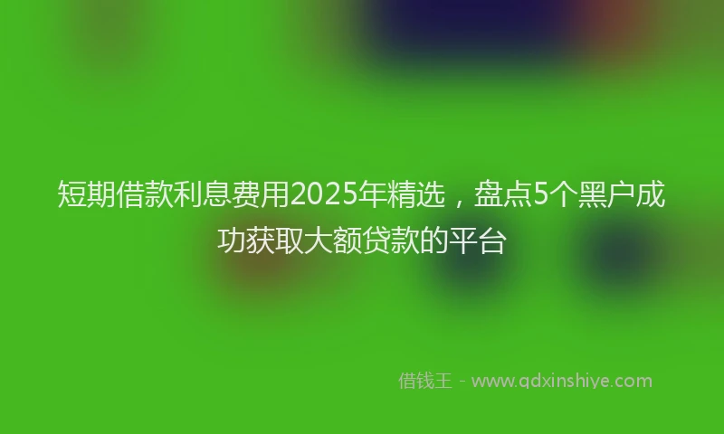 短期借款利息费用2025年精选，盘点5个黑户成功获取大额贷款的平台