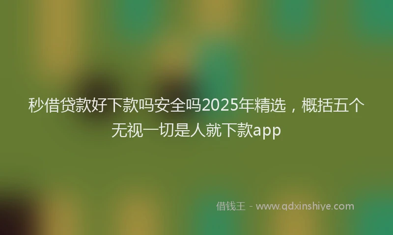 秒借贷款好下款吗安全吗2025年精选，概括五个无视一切是人就下款app