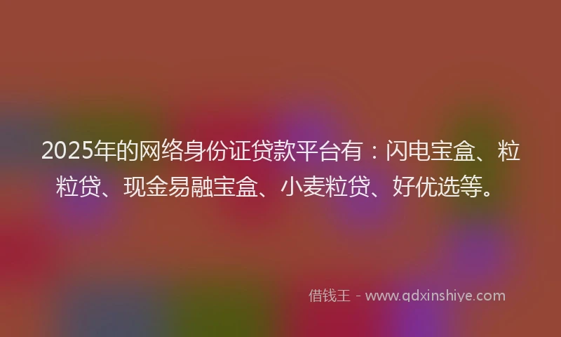 2025年的网络身份证贷款平台有：闪电宝盒、粒粒贷、现金易融宝盒、小麦粒贷、好优选等。