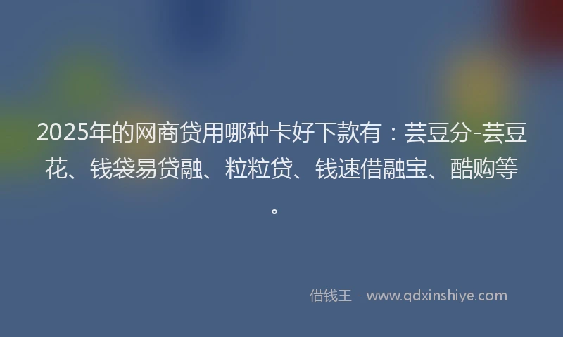 2025年的网商贷用哪种卡好下款有：芸豆分-芸豆花、钱袋易贷融、粒粒贷、钱速借融宝、酷购等。