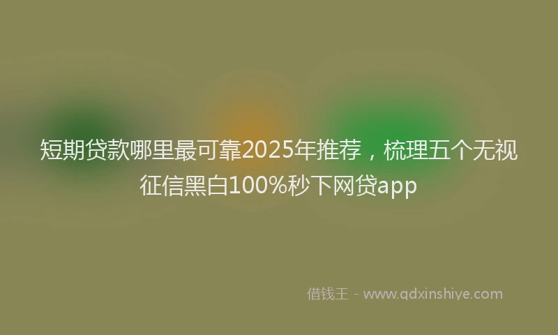 短期贷款哪里最可靠2025年推荐，梳理五个无视征信黑白100%秒下网贷app