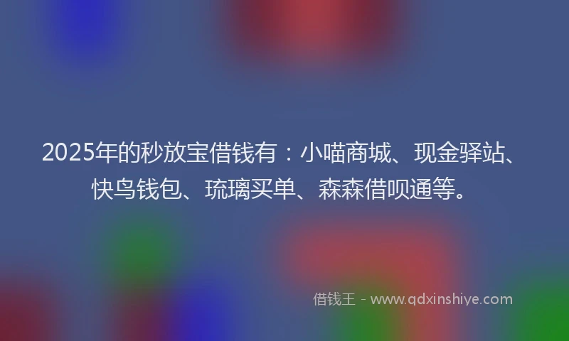 2025年的秒放宝借钱有：小喵商城、现金驿站、快鸟钱包、琉璃买单、森森借呗通等。