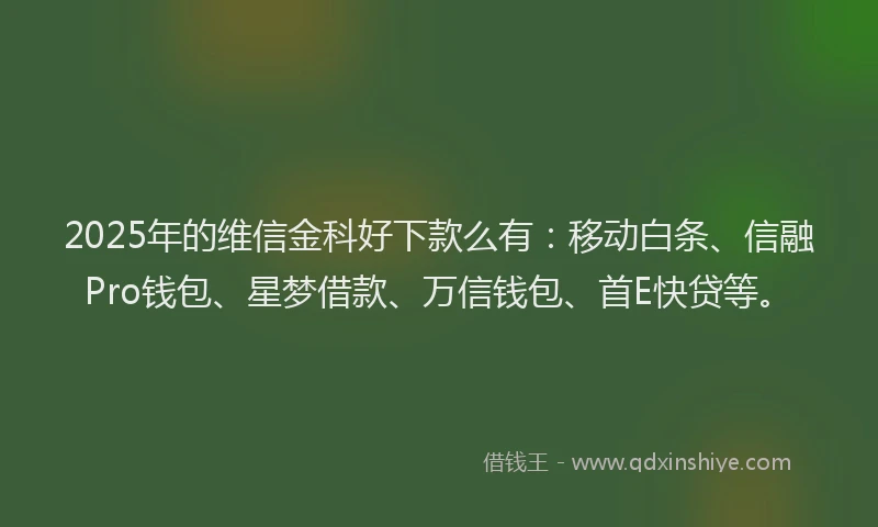 2025年的维信金科好下款么有：移动白条、信融Pro钱包、星梦借款、万信钱包、首E快贷等。