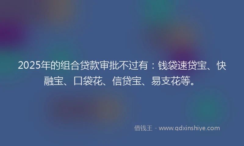 2025年的组合贷款审批不过有：钱袋速贷宝、快融宝、口袋花、信贷宝、易支花等。