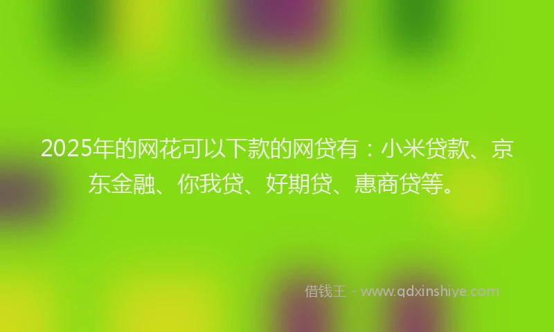 2025年的网花可以下款的网贷有：小米贷款、京东金融、你我贷、好期贷、惠商贷等。