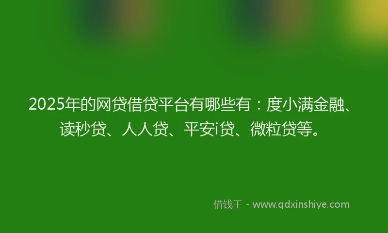 2025年的网贷借贷平台有哪些有：度小满金融、读秒贷、人人贷、平安i贷、微粒贷等。