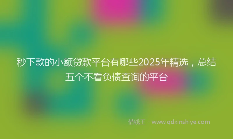 秒下款的小额贷款平台有哪些2025年精选，总结五个不看负债查询的平台
