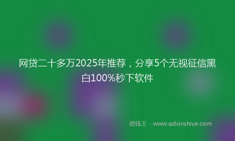 网贷二十多万2025年推荐，分享5个无视征信黑白100%秒下软件