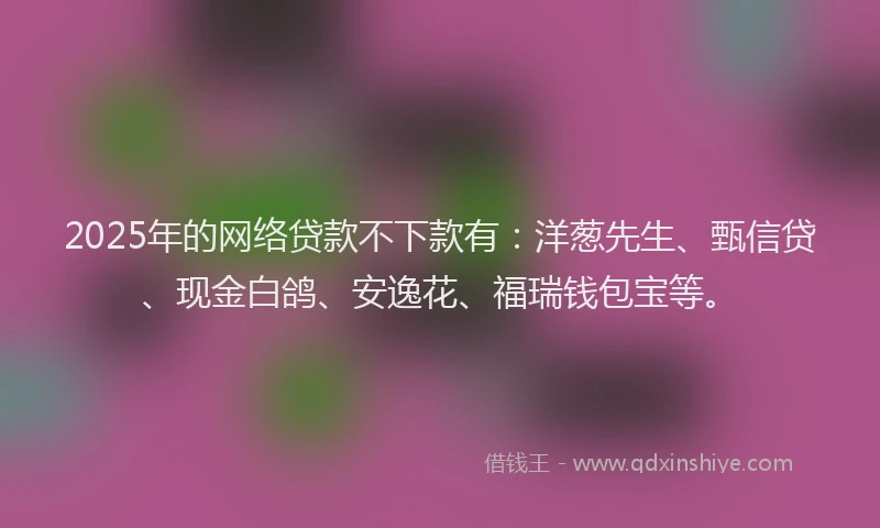 2025年的网络贷款不下款有：洋葱先生、甄信贷、现金白鸽、安逸花、福瑞钱包宝等。