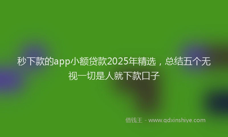 秒下款的app小额贷款2025年精选，总结五个无视一切是人就下款口子